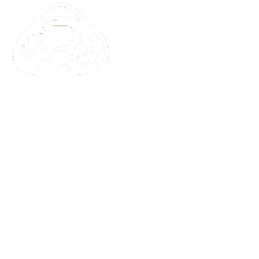 BRUTAL-MEDIA